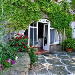 Villa Le Olivine